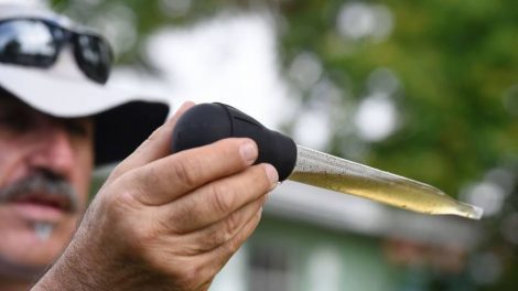 Overheid VS waarschuwt zwangere vrouwen in Florida voor zikavirus