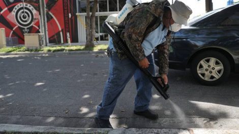 Zwangere vrouwen moeten deel Miami mijden vanwege zika