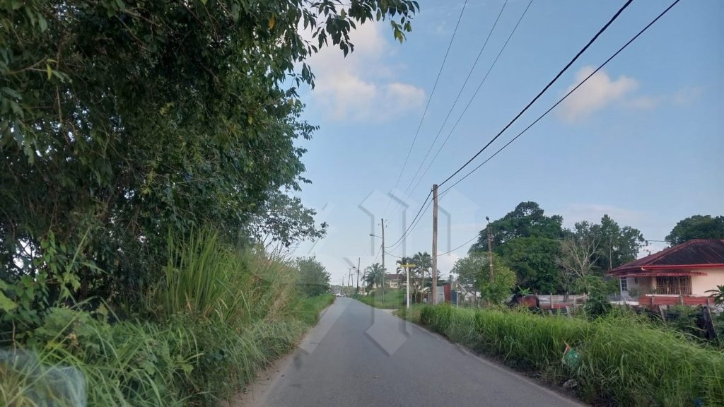 Geen budget voor optimaal onderhoud bermen en trenzen