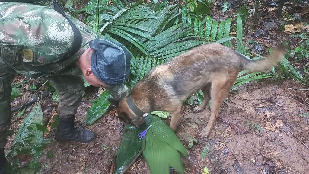 Verwarring over vermiste kinderen na vliegtuigcrash in jungle Colombia