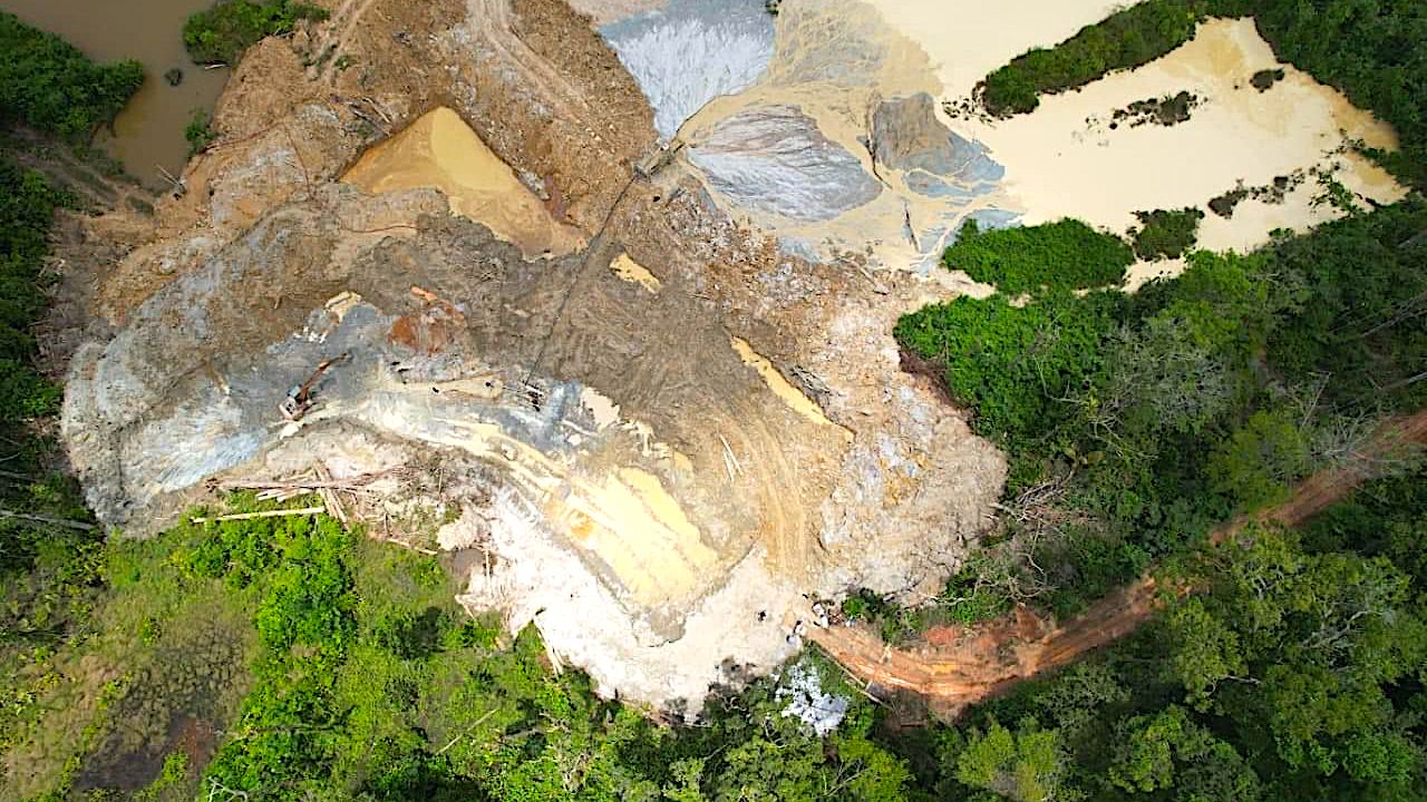 Deforestation directly fuels global warming by releasing stored CO2.