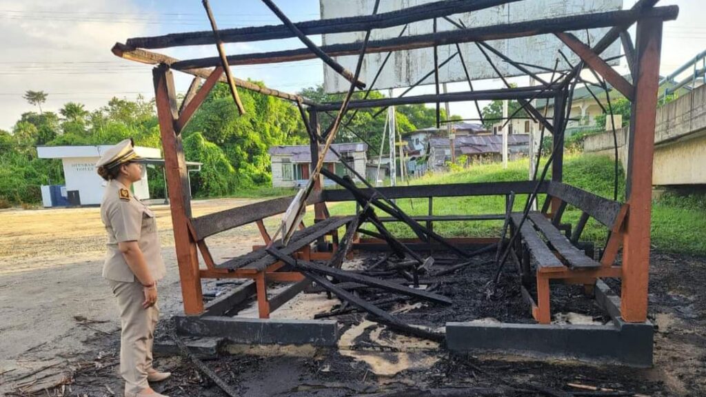 Vandalen steken pinahut in brand