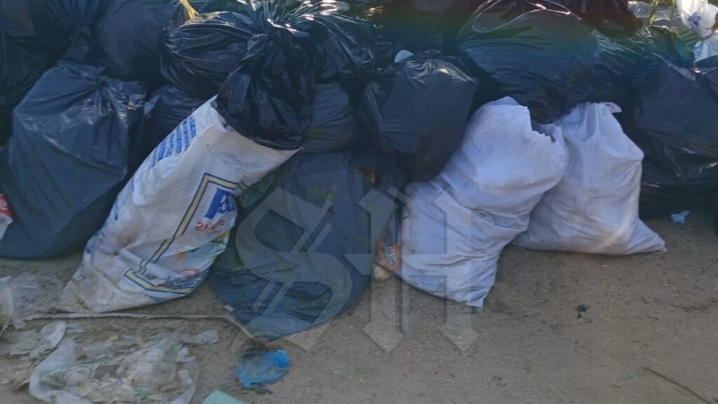 Garbage collection halted again